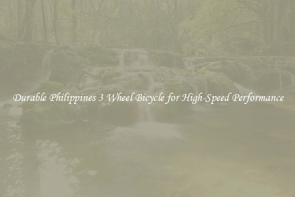 Durable Philippines 3 Wheel Bicycle for High-Speed Performance