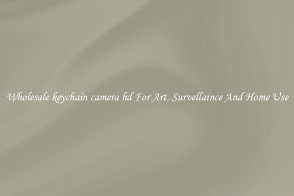 Wholesale keychain camera hd For Art, Survellaince And Home Use