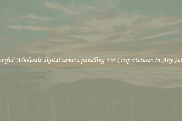 Powerful Wholesale digital camera panelling For Crisp Pictures In Any Setting