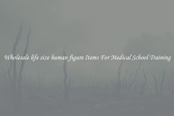 Wholesale life size human figure Items For Medical School Training