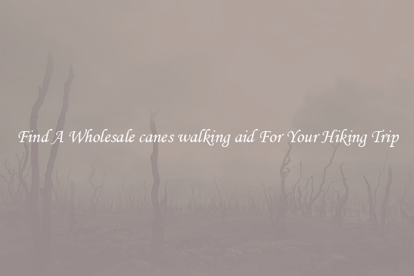 Find A Wholesale canes walking aid For Your Hiking Trip