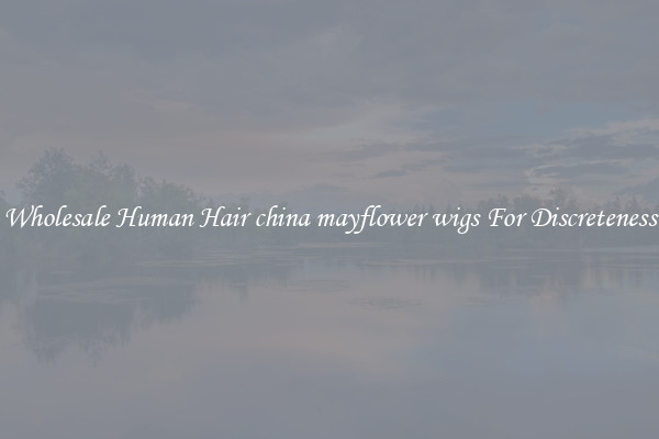 Wholesale Human Hair china mayflower wigs For Discreteness