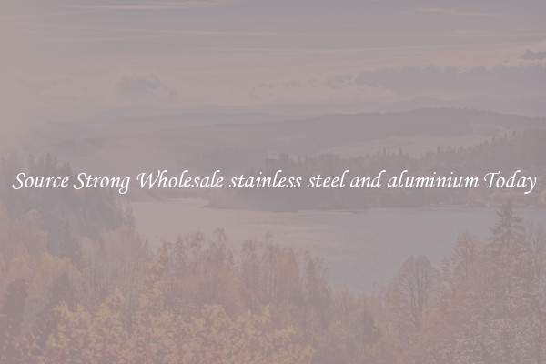 Source Strong Wholesale stainless steel and aluminium Today