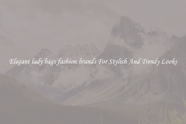 Elegant lady bags fashion brands For Stylish And Trendy Looks