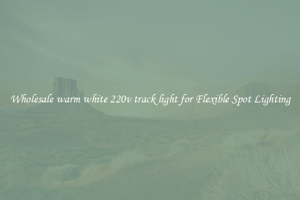 Wholesale warm white 220v track light for Flexible Spot Lighting