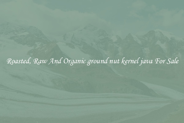 Roasted, Raw And Organic ground nut kernel java For Sale