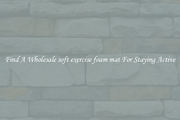 Find A Wholesale soft exercise foam mat For Staying Active