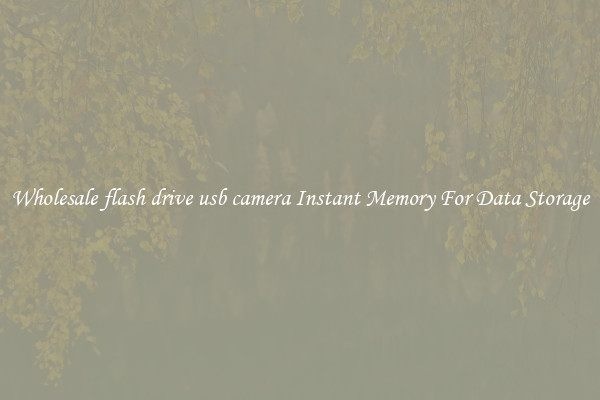 Wholesale flash drive usb camera Instant Memory For Data Storage