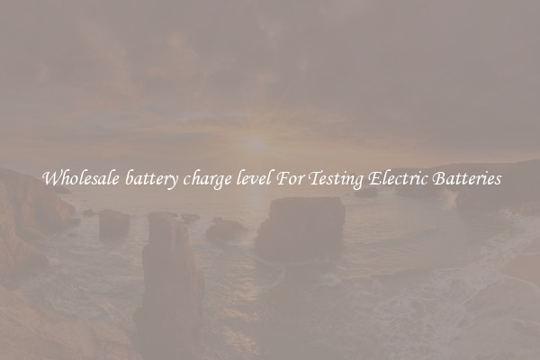 Wholesale battery charge level For Testing Electric Batteries