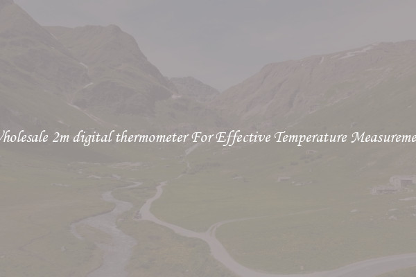 Wholesale 2m digital thermometer For Effective Temperature Measurement