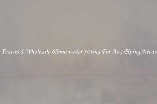 Featured Wholesale 65mm water fitting For Any Piping Needs