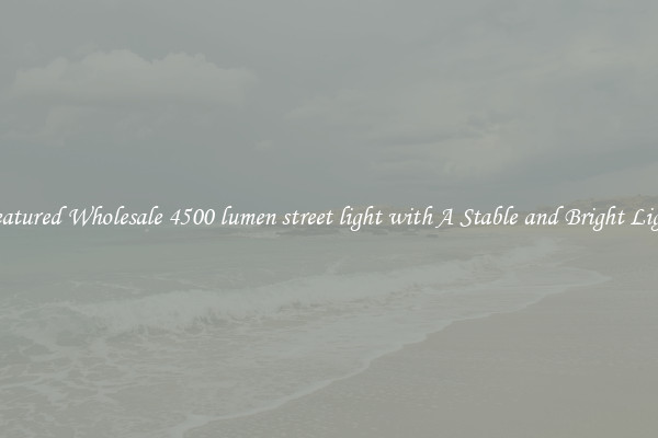Featured Wholesale 4500 lumen street light with A Stable and Bright Light