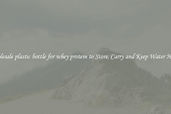 Wholesale plastic bottle for whey protein to Store, Carry and Keep Water Handy