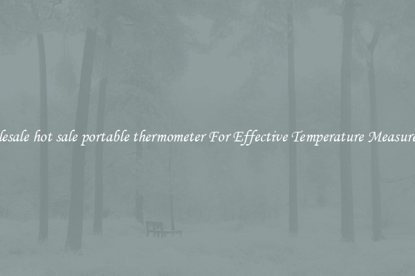 Wholesale hot sale portable thermometer For Effective Temperature Measurement