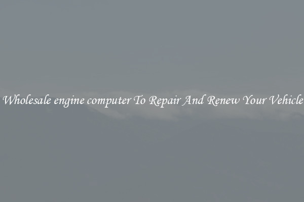 Wholesale engine computer To Repair And Renew Your Vehicle