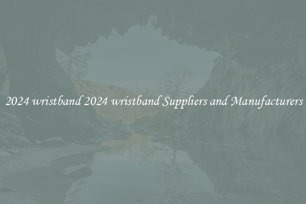 2024 wristband 2024 wristband Suppliers and Manufacturers
