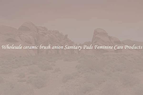 Wholesale ceramic brush anion Sanitary Pads Feminine Care Products